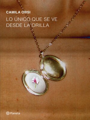cover image of Lo único que se ve desde la orilla